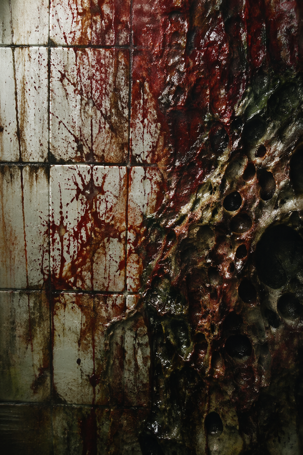 Cover of Echoes of Resident Evil