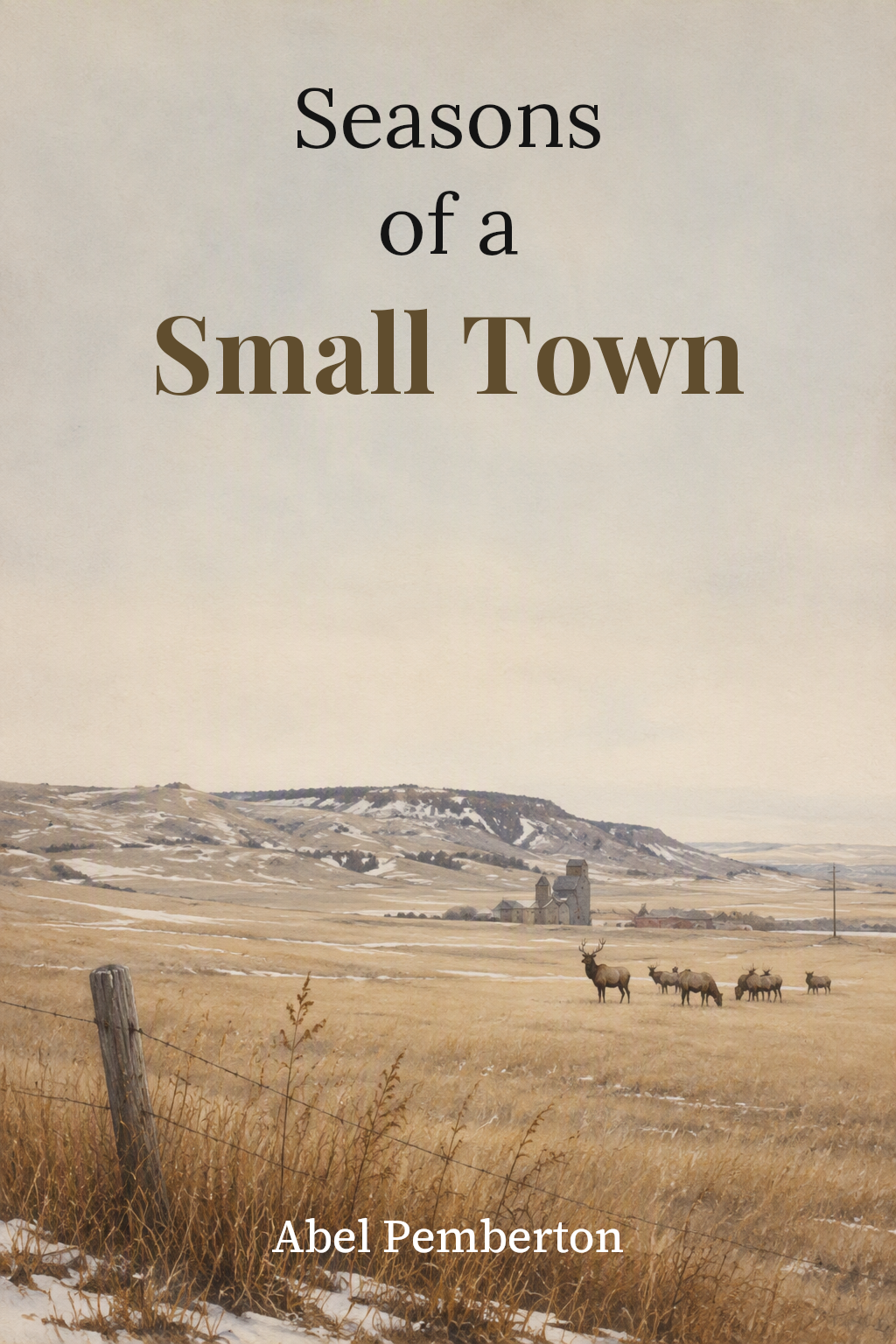 Cover of Seasons of a Small Town