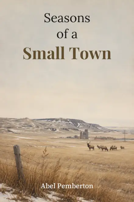 Cover of Seasons of a Small Town